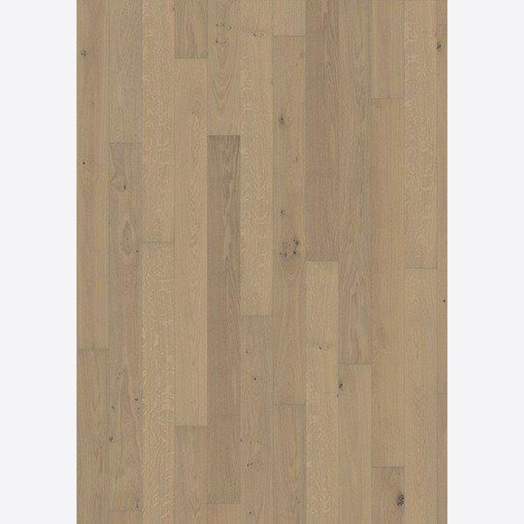 Oak Nouveau White Wood Flooring gallery detail image
