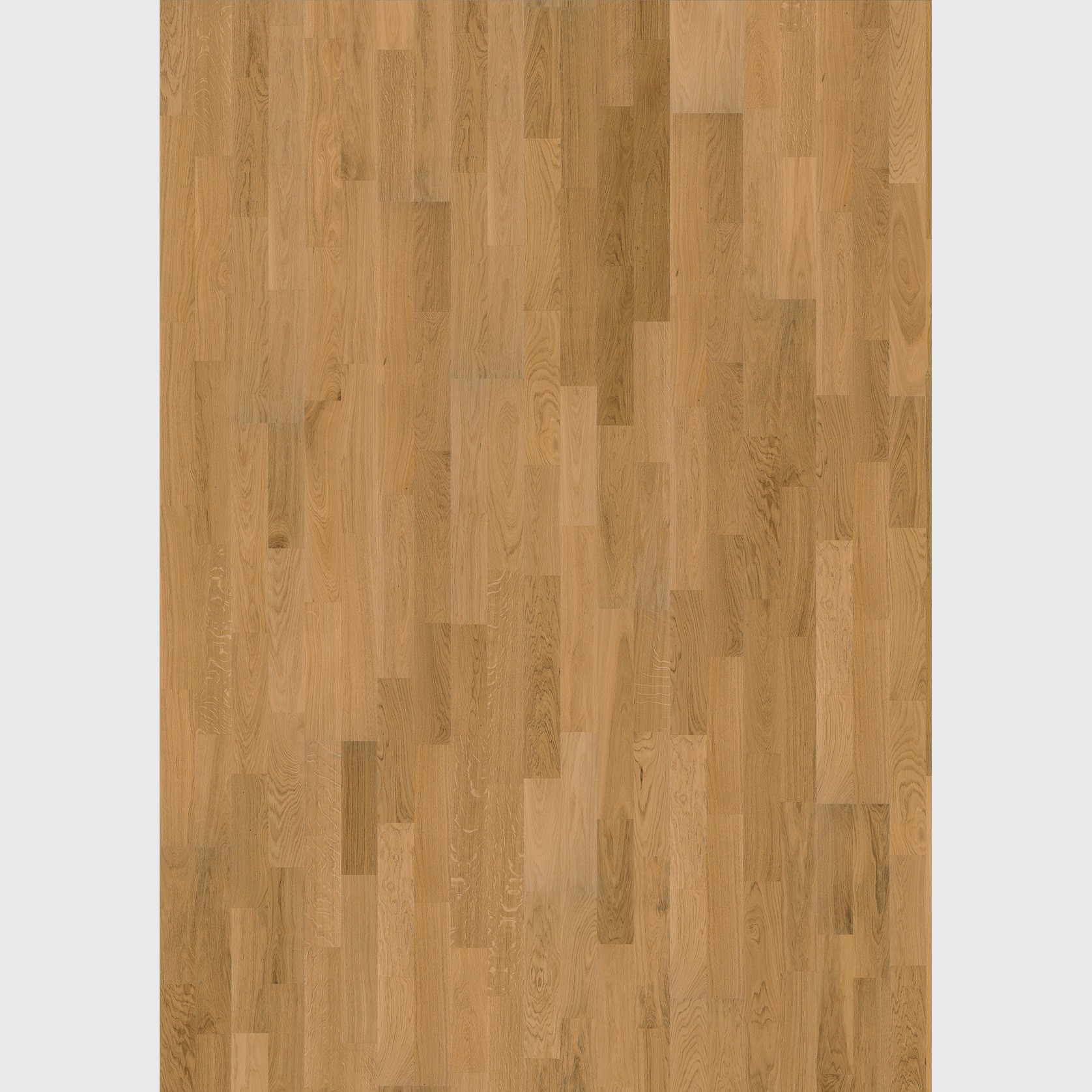 Oak Verona Wood Flooring gallery detail image