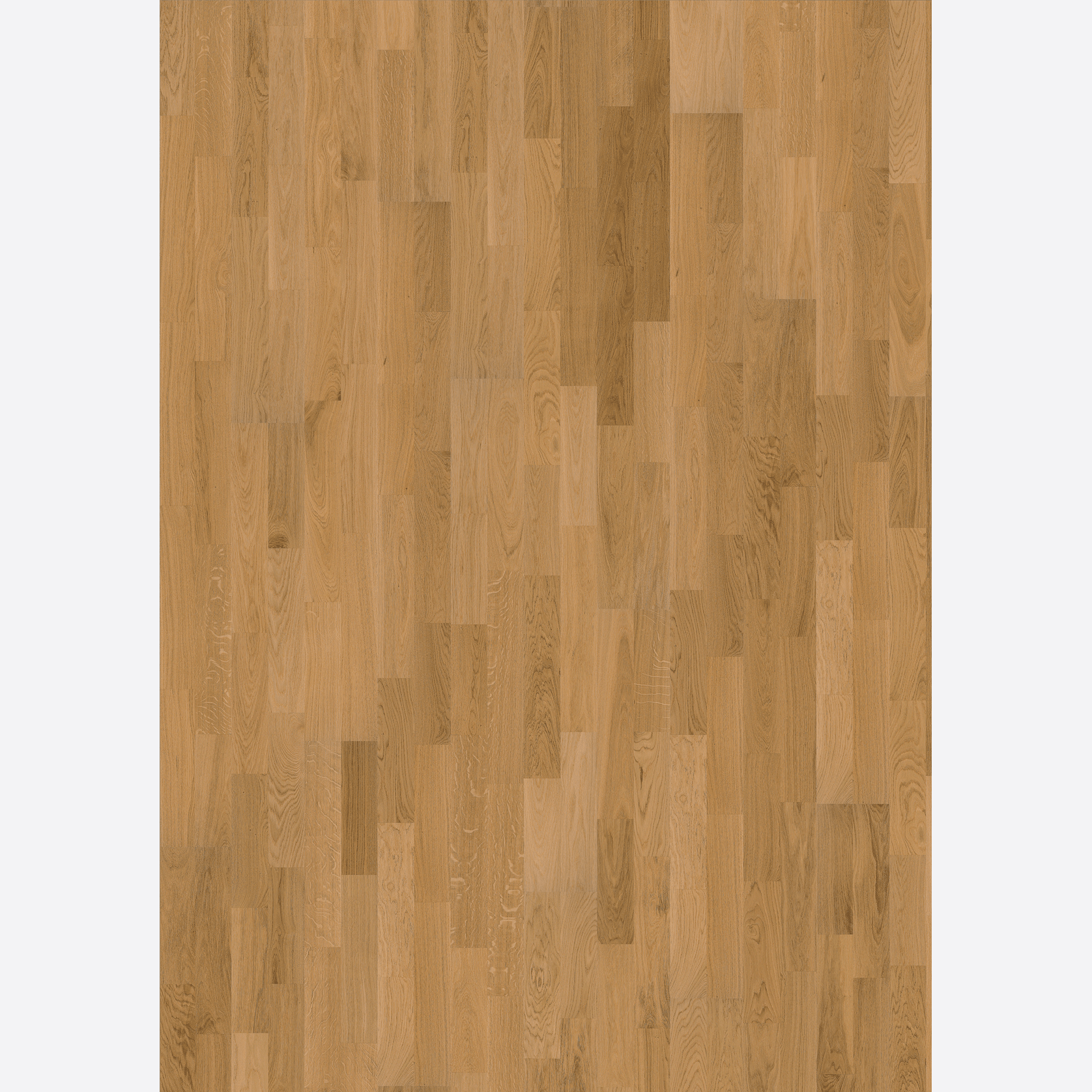 Oak Verona Wood Flooring gallery detail image