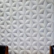 Paragon Hex Cladding gallery detail image