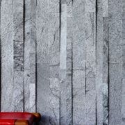 Parallels-V Cladding gallery detail image