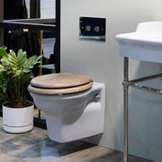 Paris Wall Hung Toilet | Bidet gallery detail image