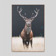 Photographic Framed Meadow Deer Canvas Print gallery detail image