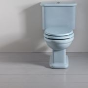 Rockwell Toilet With Close Coupled Cistern Pan gallery detail image