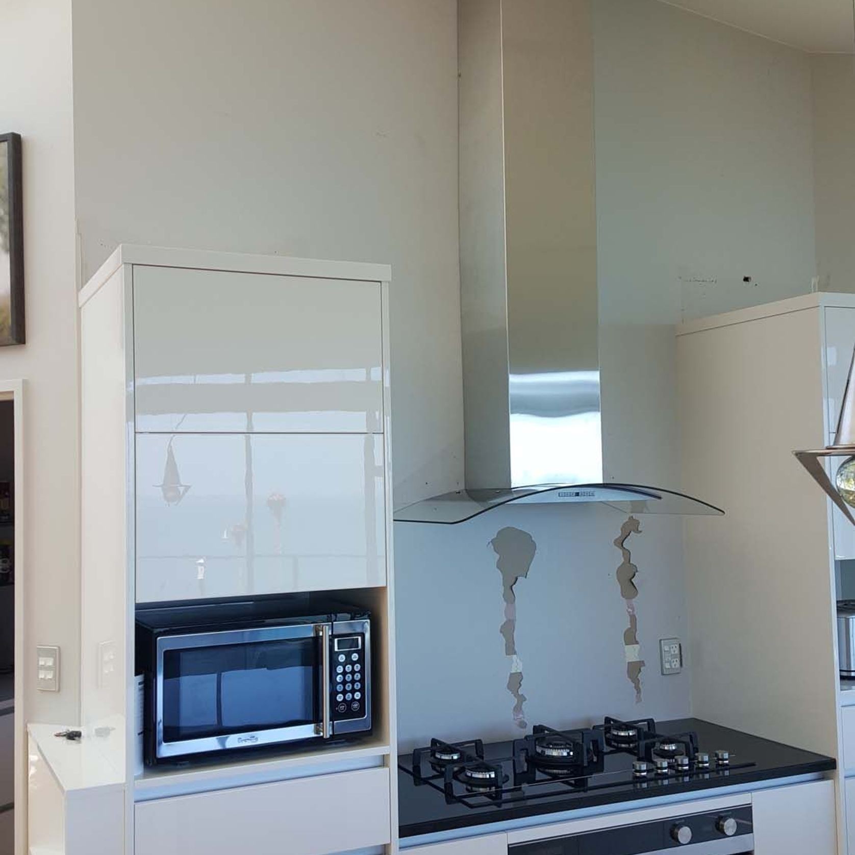 Stainless Steel Flue Cover gallery detail image