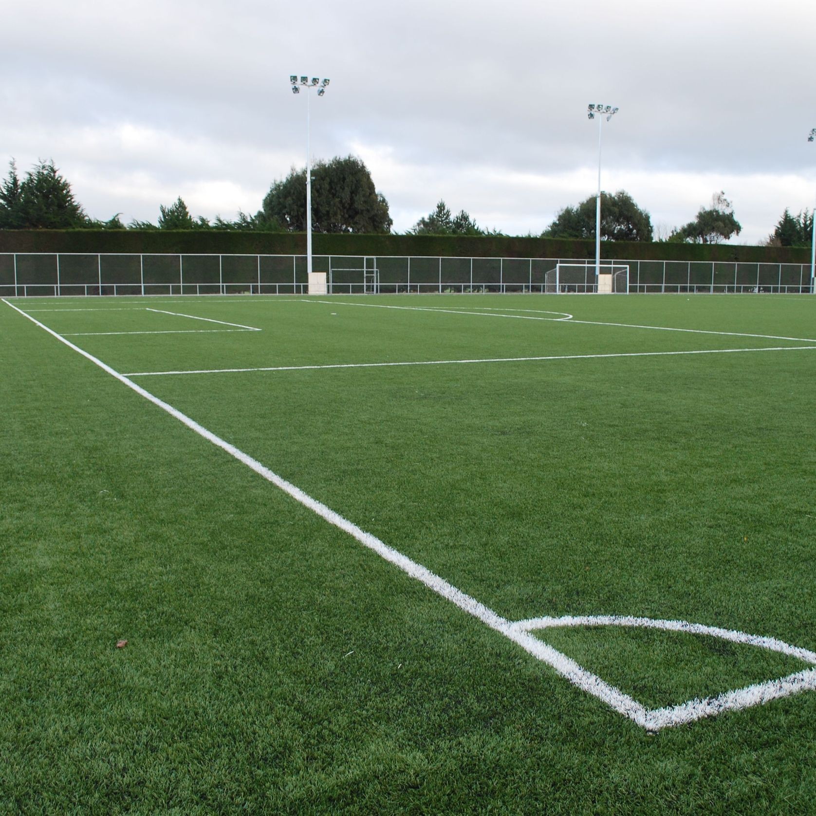 Turf for Football Field gallery detail image