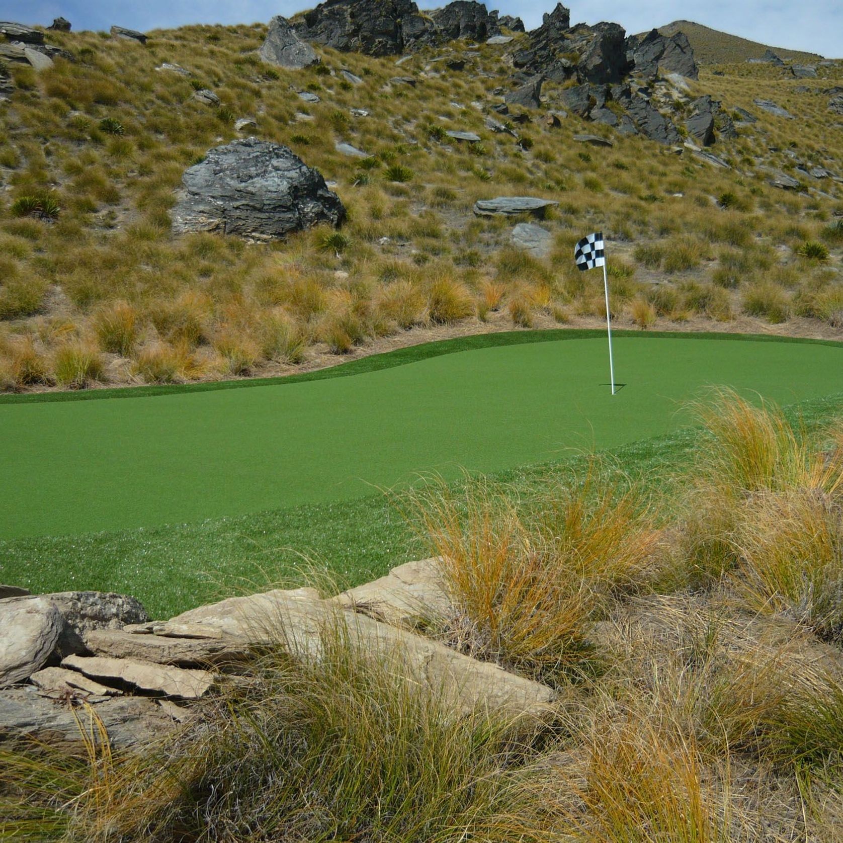 Turf for Golf Putting  gallery detail image