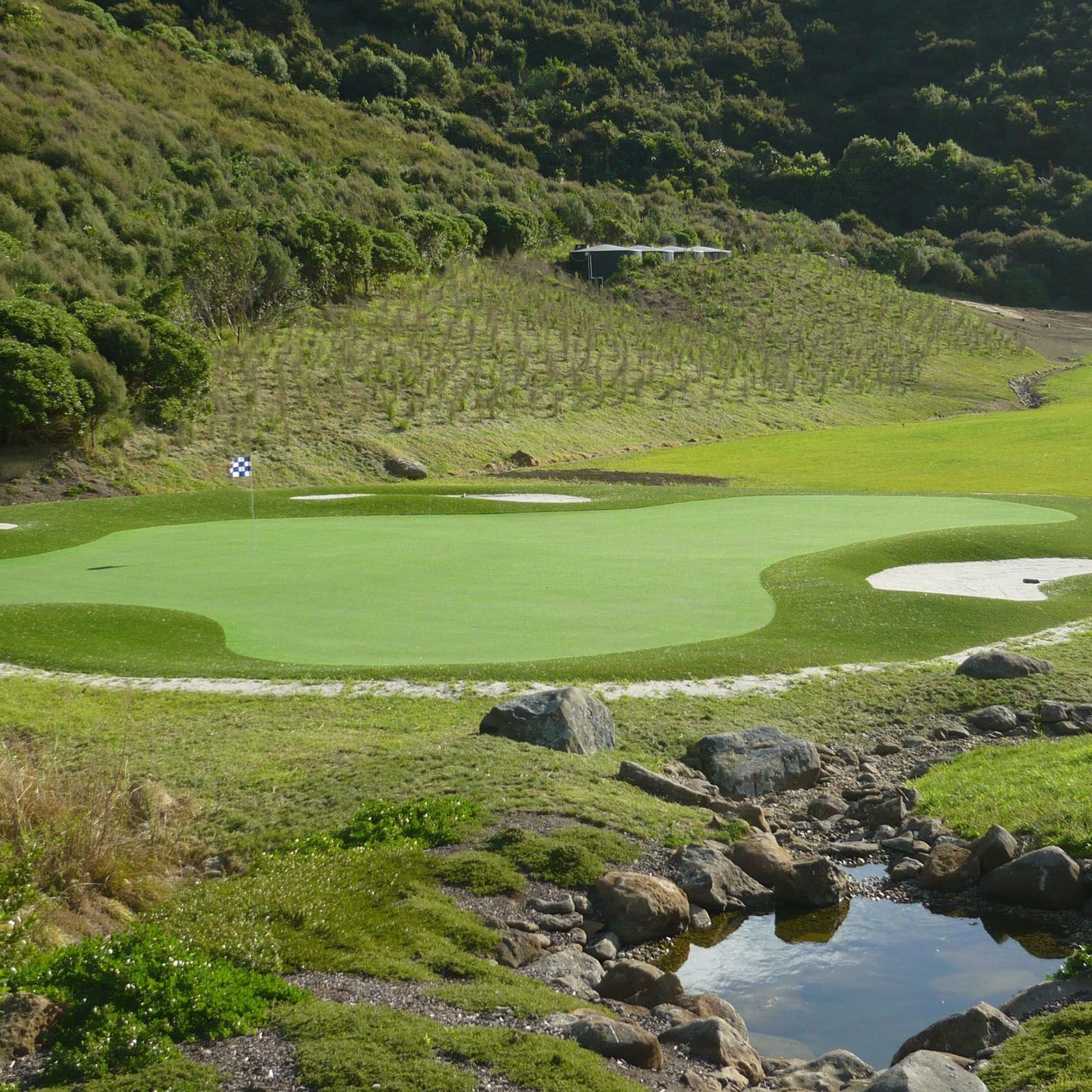 Turf for Golf Putting  gallery detail image