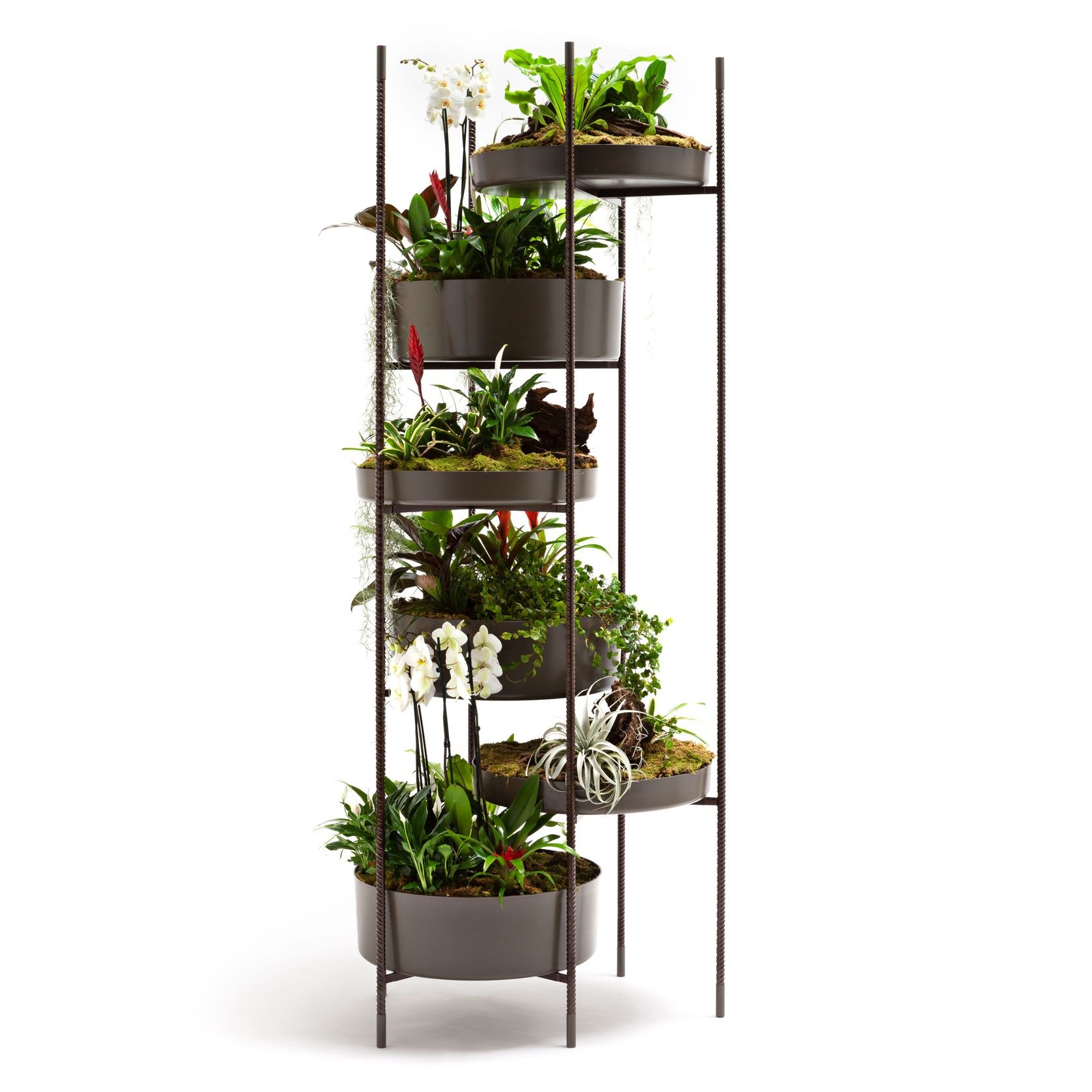 Vertical Garden by Exteta gallery detail image