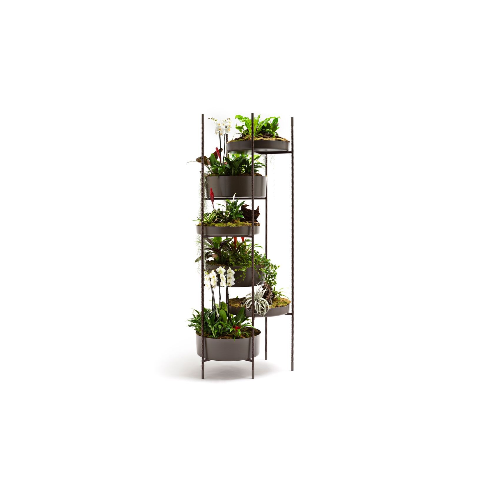 Vertical Garden by Exteta gallery detail image