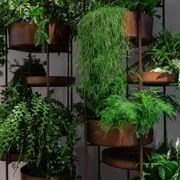 Vertical Garden by Exteta gallery detail image