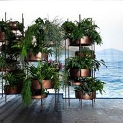 Vertical Garden by Exteta gallery detail image