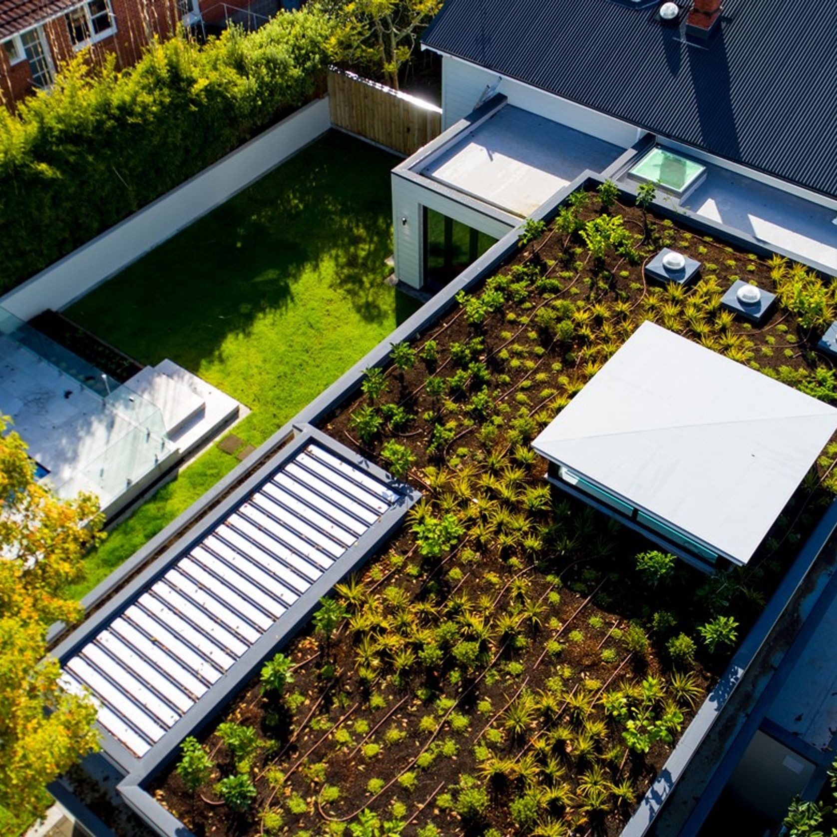 Viking Roof Garden System gallery detail image