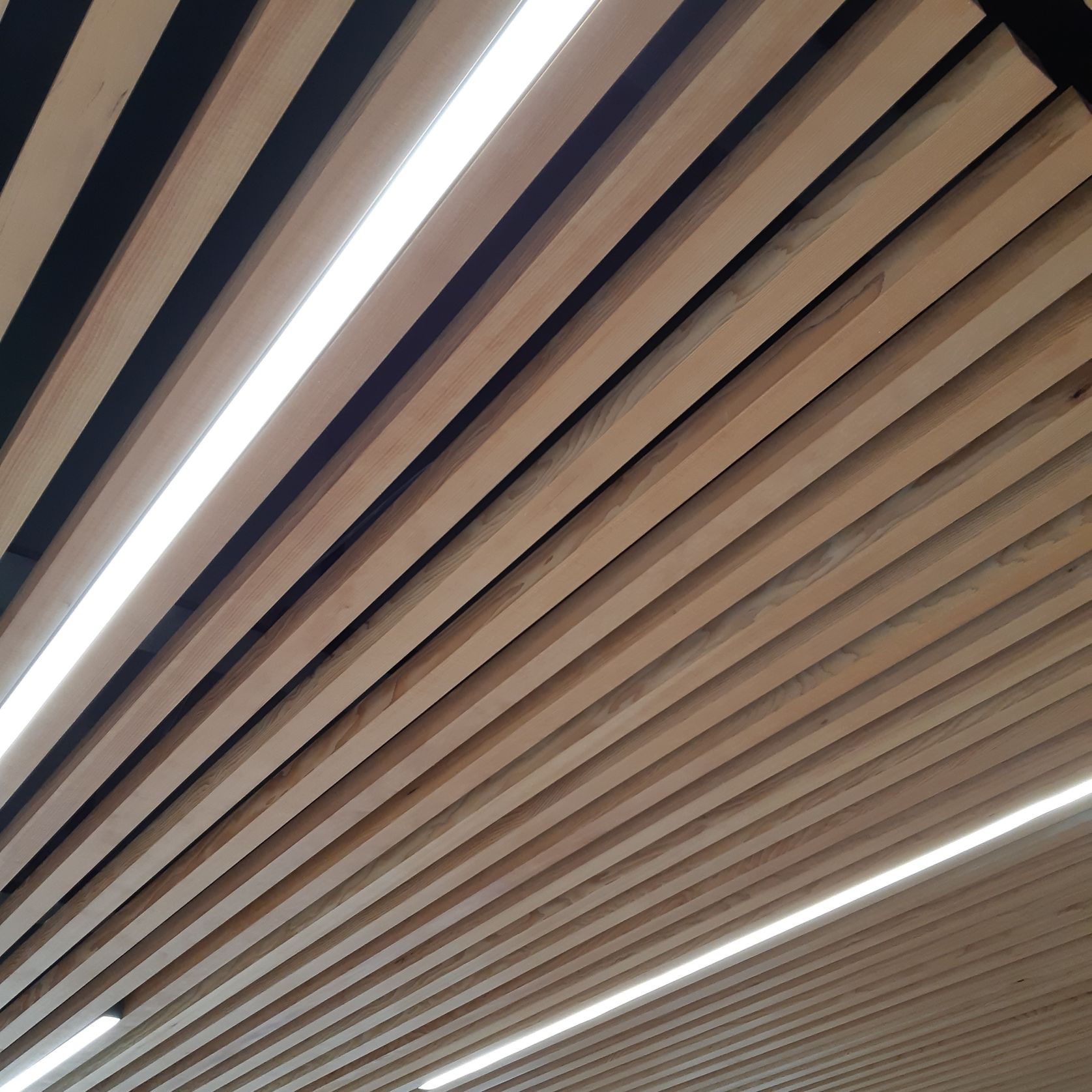 JSC Western Hemlock Timber gallery detail image