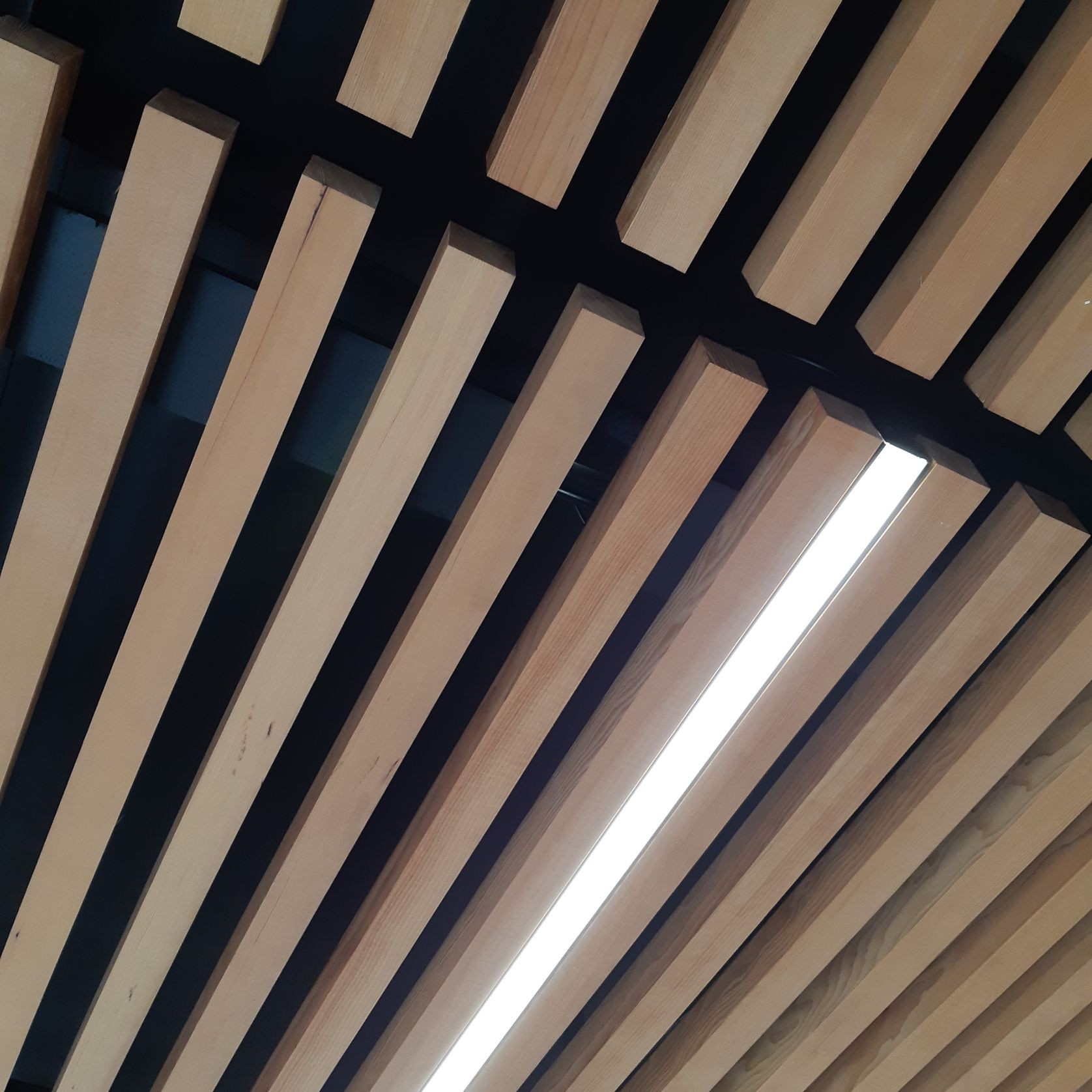JSC Western Hemlock Timber gallery detail image