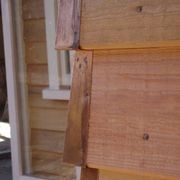 Western Red Cedar gallery detail image