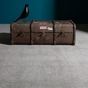 Westminster Premium Carpet gallery detail image