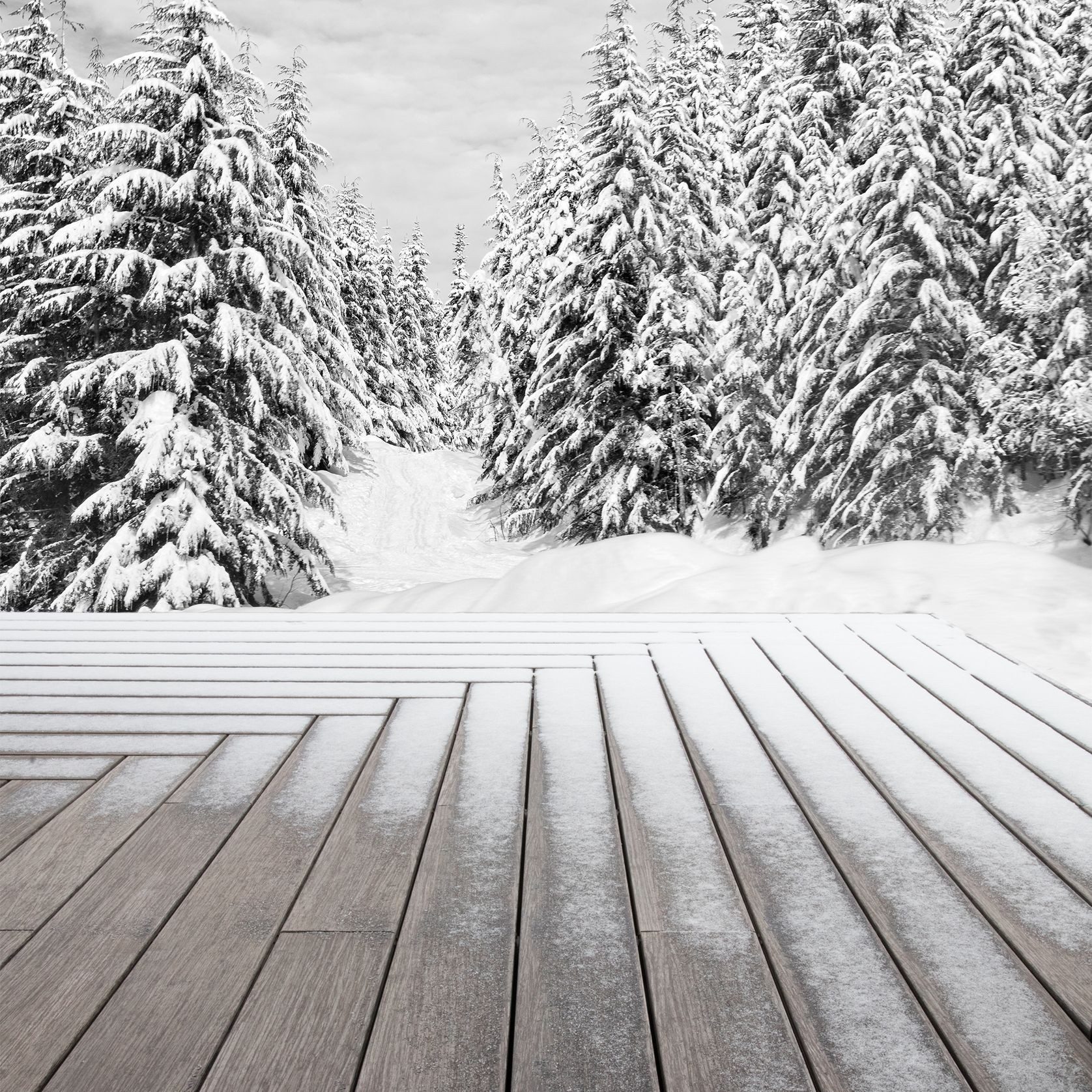 Bamboo X-treme Decking gallery detail image