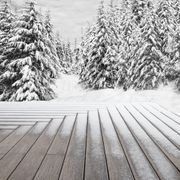 Bamboo X-treme Decking gallery detail image