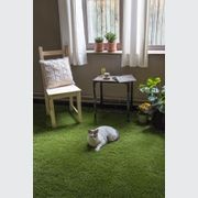 Xtinguish Artificial Grass gallery detail image