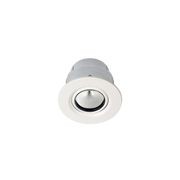 ZELA Fire Rated Tilt Downlight gallery detail image