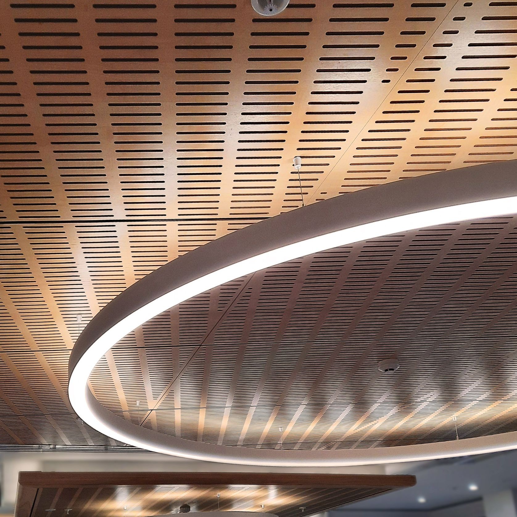 Bosk Perforated Acoustic Timber Panels gallery detail image