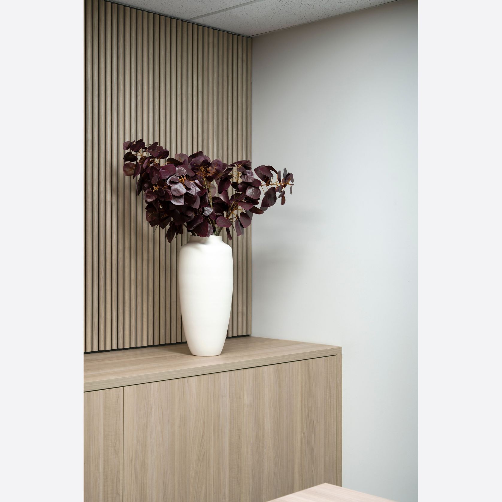 Modulo® Acoustic gallery detail image