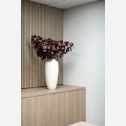 Modulo® Acoustic gallery detail image