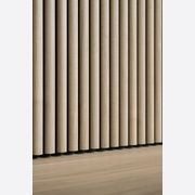 Modulo® Acoustic gallery detail image
