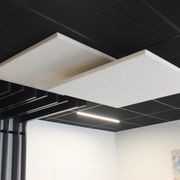 Floc Cloud gallery detail image