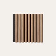 Modulo® Acoustic | Dome gallery detail image