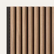 MODULO® Acoustic | Dome gallery detail image