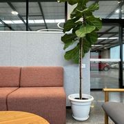 Whispa - Big River Panels gallery detail image
