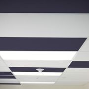 Accent Ceiling Tile gallery detail image