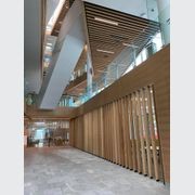 Décorslat Timber Battens - Big River Panels gallery detail image