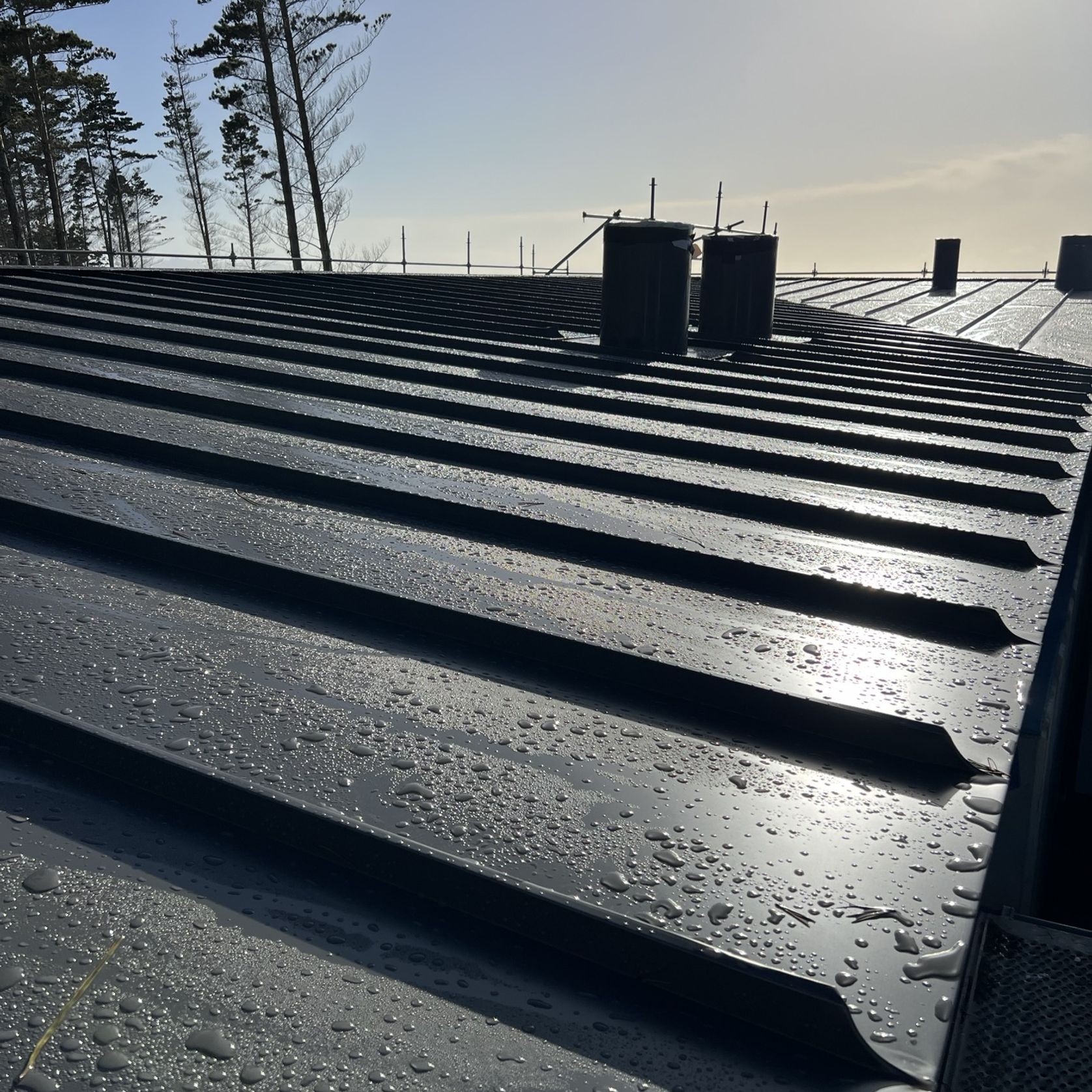 EuroSeam™ Standing Seam Tray Roofing and Cladding gallery detail image