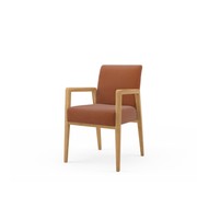 Kato Arm Chair gallery detail image
