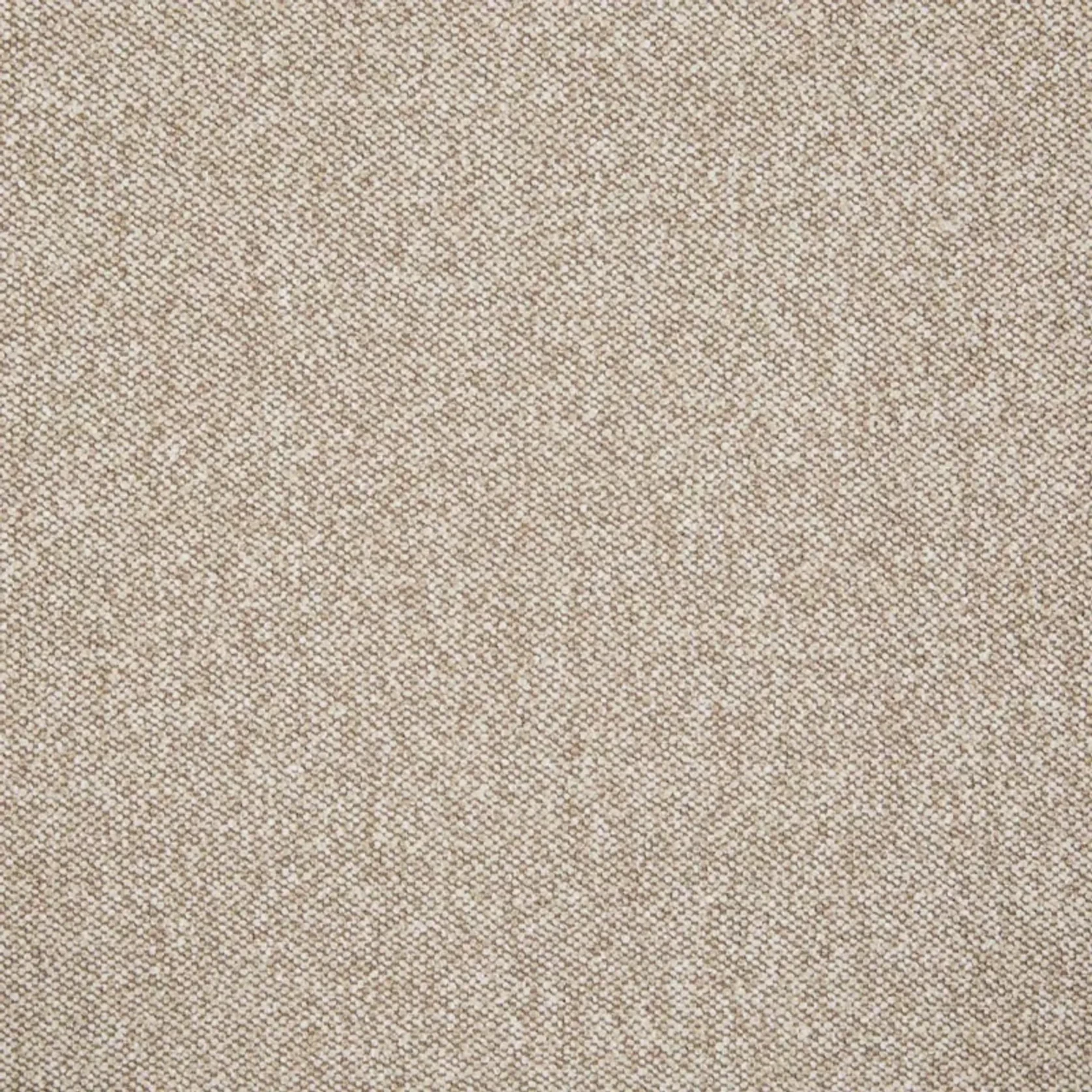 Livia Occasional Chair gallery detail image