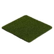 PowerPlay 16 - Sports Turf gallery detail image