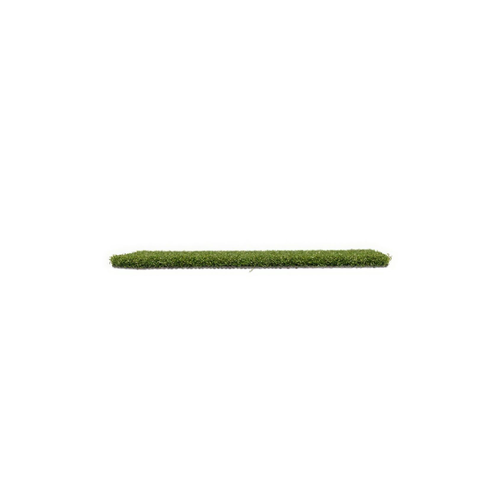 PowerPlay 16 - Sports Turf gallery detail image