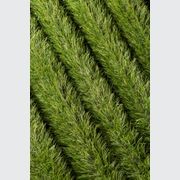 Atomic Pro 60 Artificial Grass gallery detail image