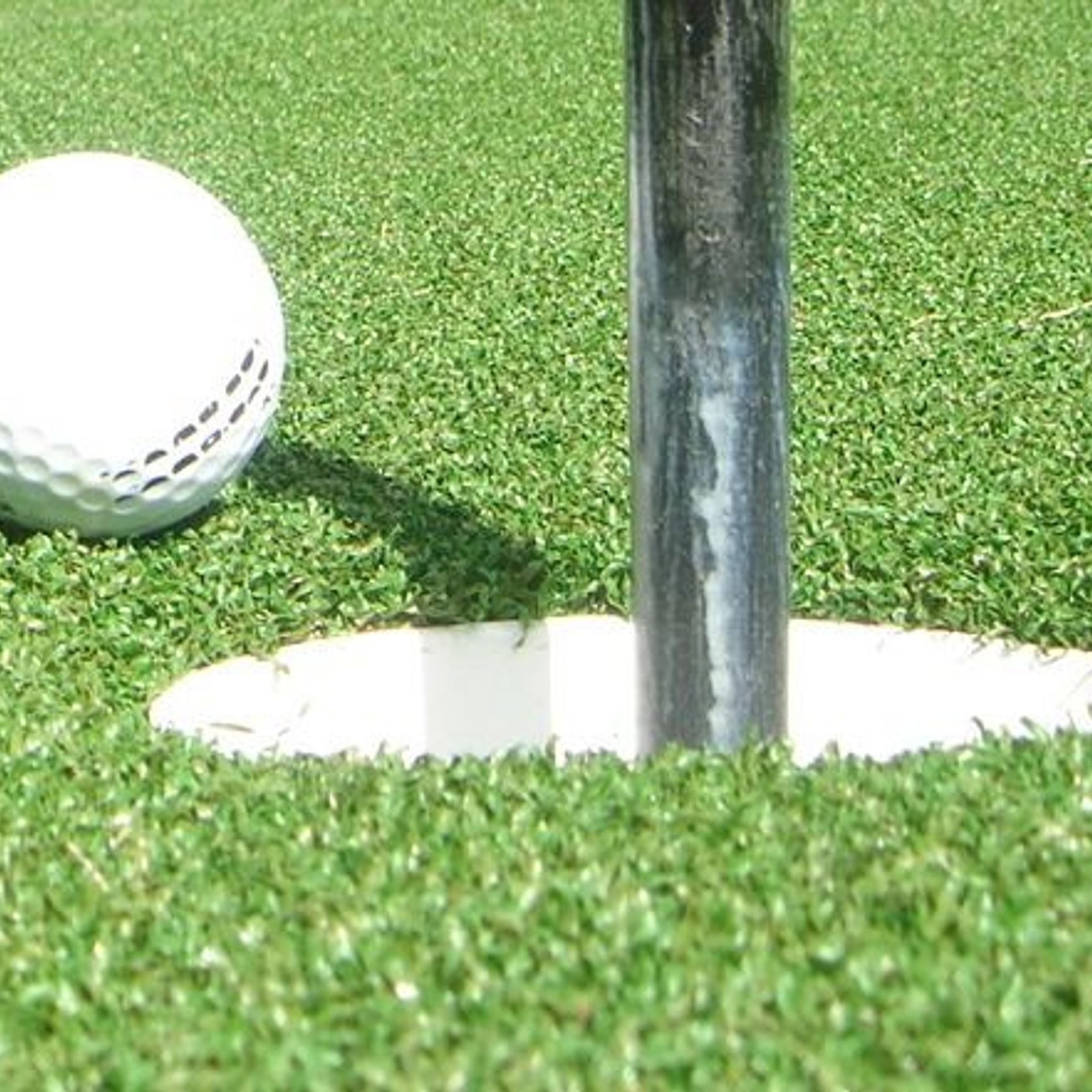 Pure Putt Artificial Grass gallery detail image