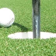 Pure Putt Artificial Grass gallery detail image