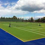 Evo Pro Artificial Grass gallery detail image