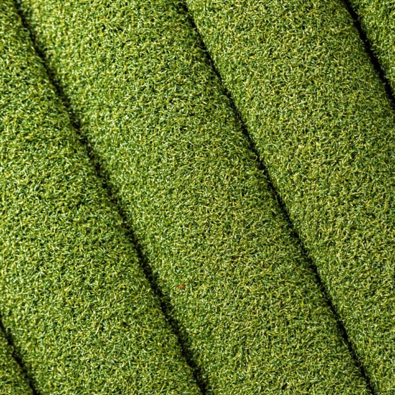 Pure Putt Sport Turf gallery detail image