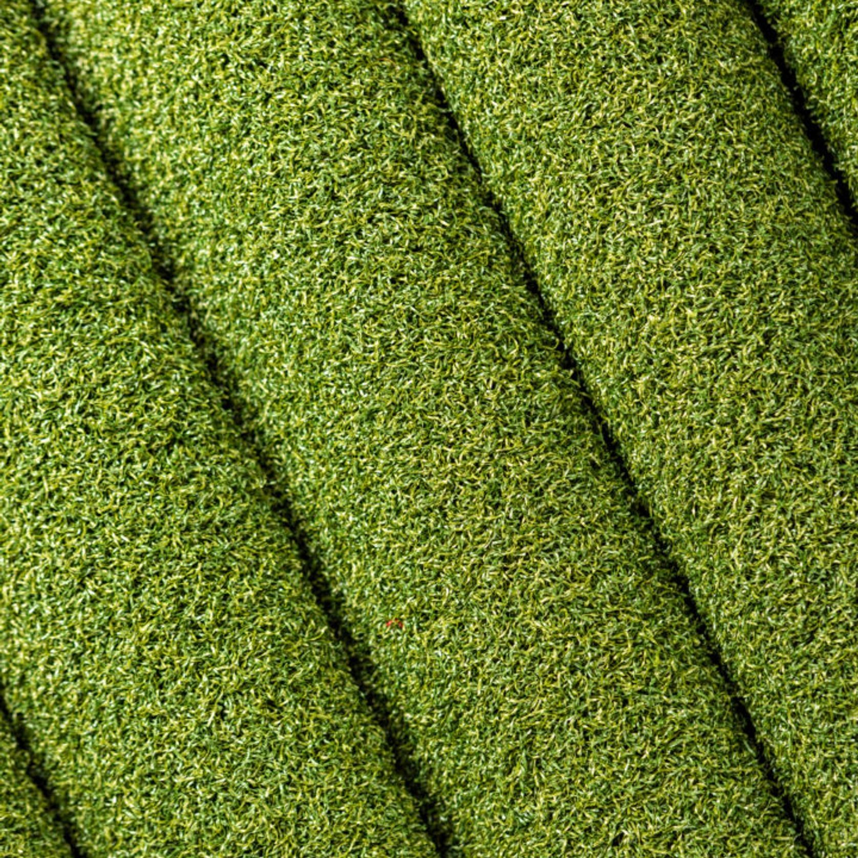 Pure Putt Artificial Grass gallery detail image