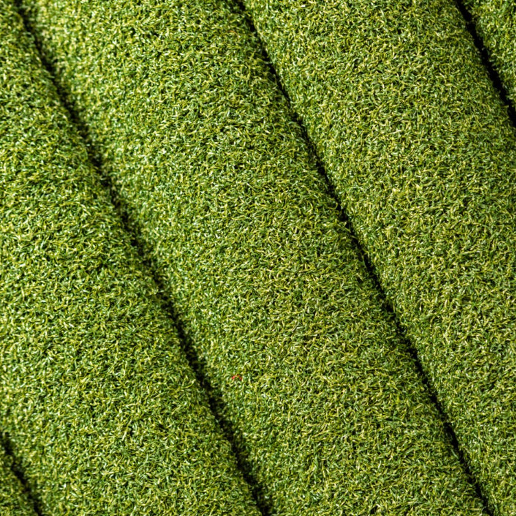 Pure Putt Artificial Grass gallery detail image
