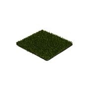 PowerPlay 13 - Sports Turf gallery detail image