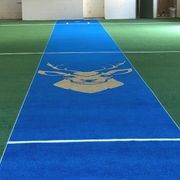 Indoor and Outdoor Cricket Artificial Grass gallery detail image