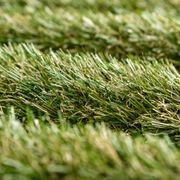 Summer Envy 35 XWR Artificial Grass gallery detail image